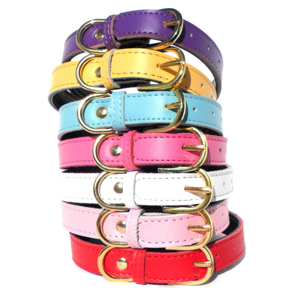 Chelsea Dog Collars