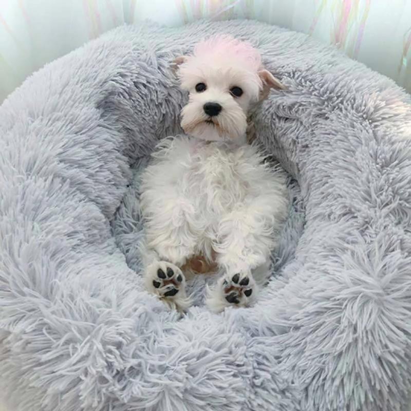 Comfy Calming Soft Pet Bed