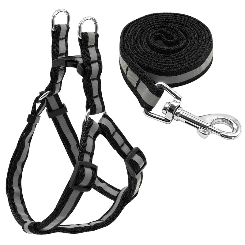 Reflective Dog Leash & Harness Set