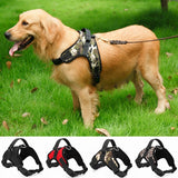 Quick Release Dog Harness