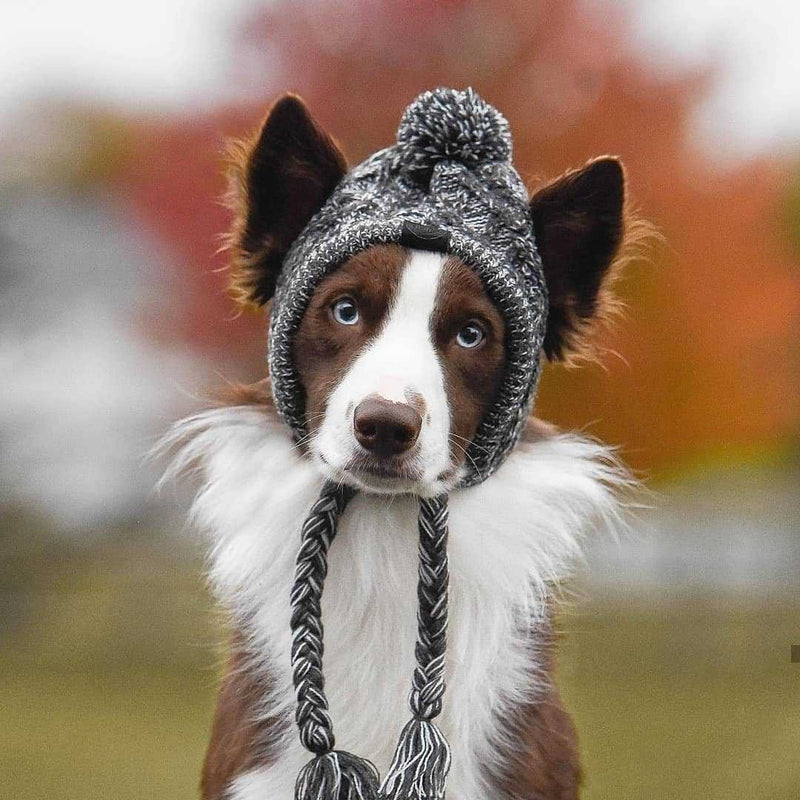 Winter Warmer Wooly Hat