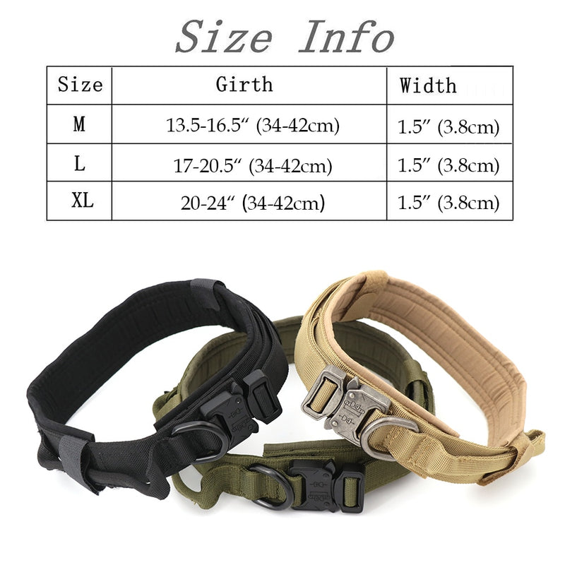 Heavy Duty Dog Collar & Leash