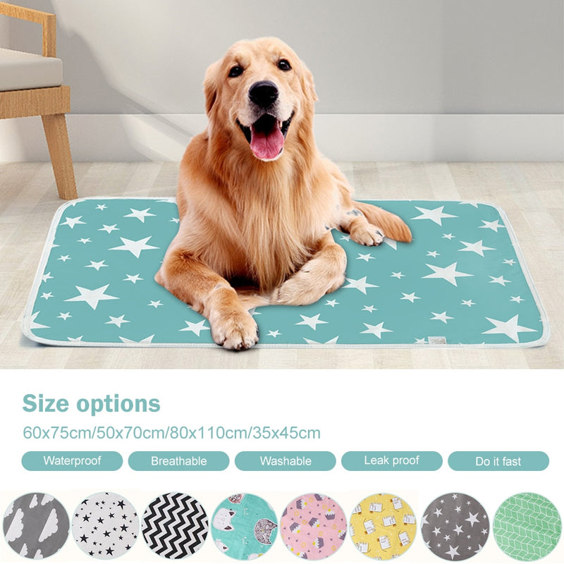 Absorbent Training Mat