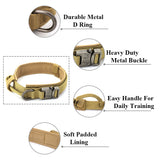 Heavy Duty Dog Collar & Leash