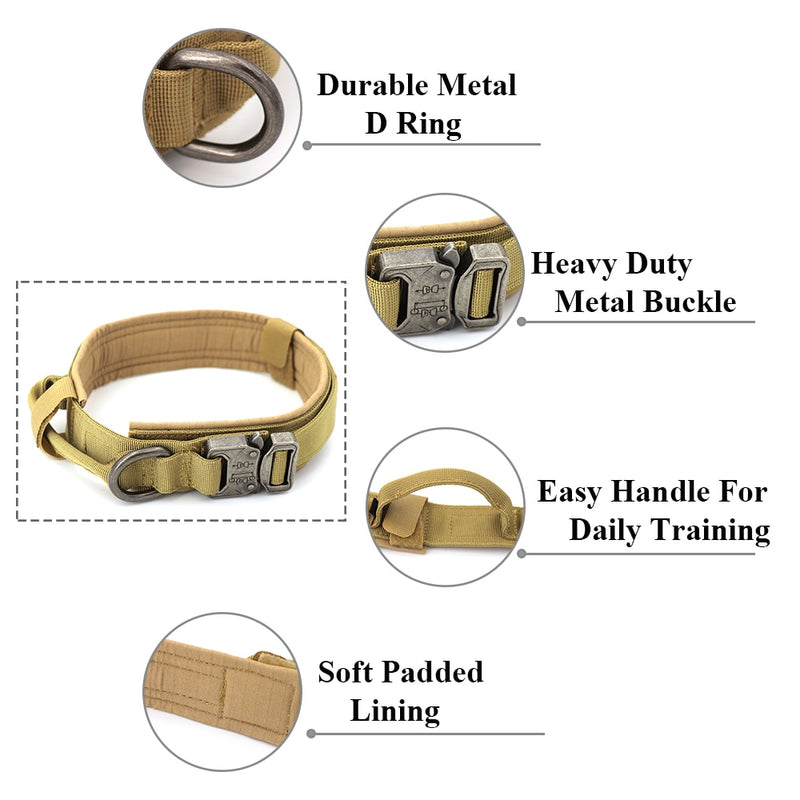 Heavy Duty Dog Collar & Leash