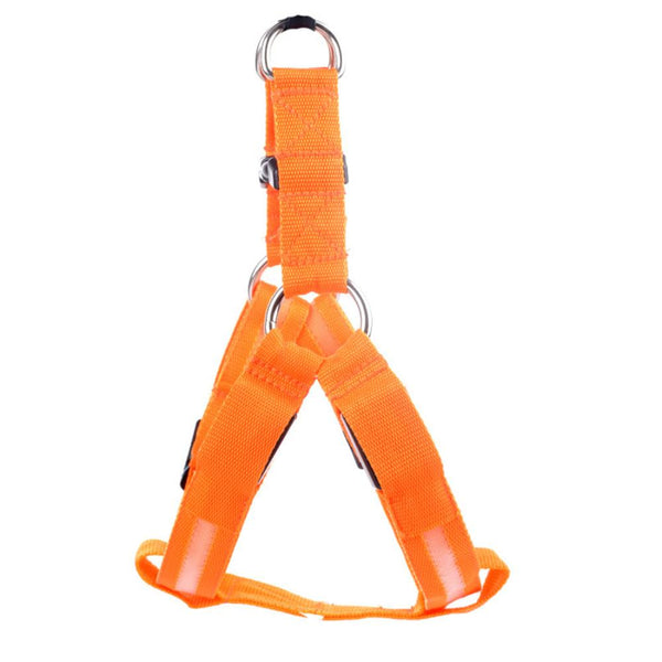 LED Safety Harness