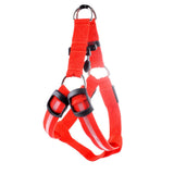 LED Safety Harness