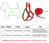 Reflective Dog Leash & Harness Set