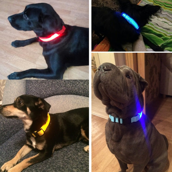 Led Pet Collar