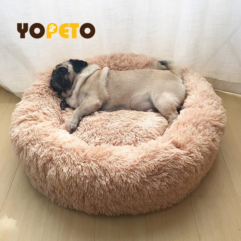 Super Soft Pet Bed